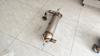 Soot particulate filter diesel particulate filter DPF for Smart Fortwo Coupe 451 0.8 CDI